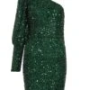 Bottle Green Sequin One Shoulder Mini Dress 12 Bottle Green Sequin One Shoulder Mini Dress -Women Clothing Sales Store 00100035761 ZM