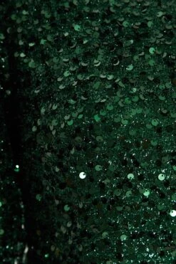 Bottle Green Sequin One Shoulder Mini Dress 11 Bottle Green Sequin One Shoulder Mini Dress -Women Clothing Sales Store 00100035761 ZS