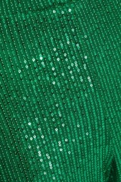 Green Sequin Palazzo Trousers 11 Green Sequin Palazzo Trousers -Women Clothing Sales Store 00100036166 ZS