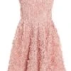 Pink Chiffon Floral Mini Dress -Women Clothing Sales Store 00100036452 ZM