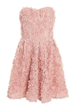 Pink Chiffon Floral Mini Dress