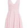 Pink Floral Skater Dress 13 Pink Floral Skater Dress -Women Clothing Sales Store 00100037379 ZM