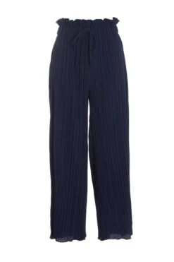 Petite Navy Pleated Wide Leg Trousers