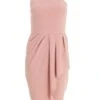 Petite Pink Ruched Wrap Midi Dress 12 Petite Pink Ruched Wrap Midi Dress -Women Clothing Sales Store 00100037744 ZM